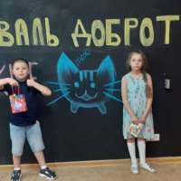 Фестиваль доброты «Майские коты»