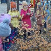 Осень золотая…