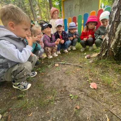 Прогулка в природу