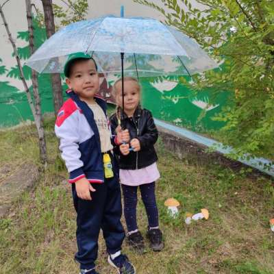 День грибного дождя