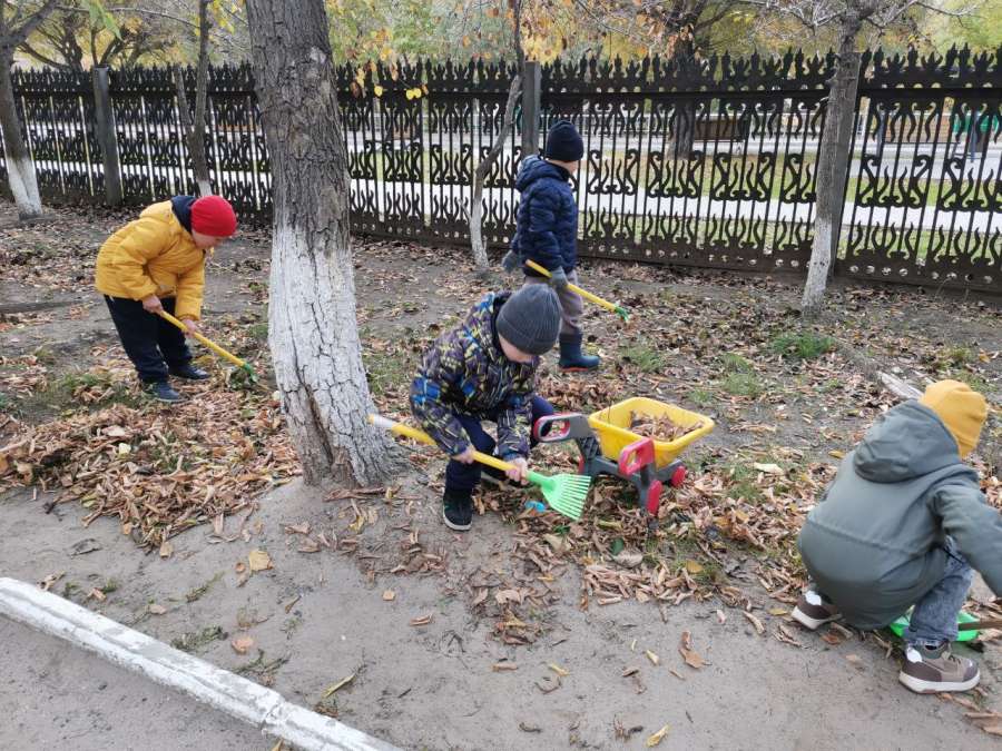 Трудовое воспитание на прогулке