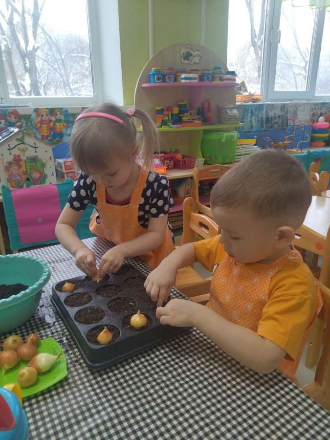 "Светлячки" сажают чудо-огород!