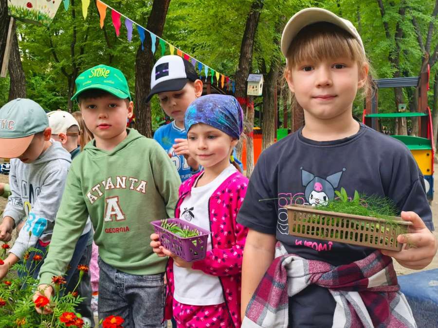 Деревья и цветы нашего края, собираем гербарий!