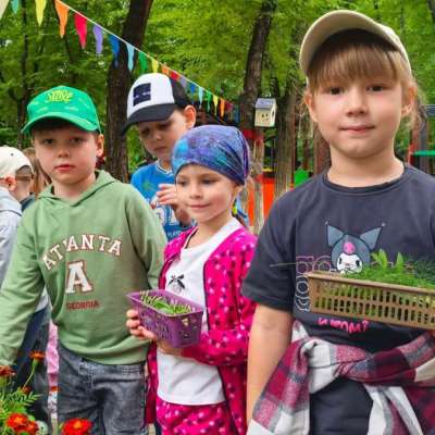 Деревья и цветы нашего края, собираем гербарий!