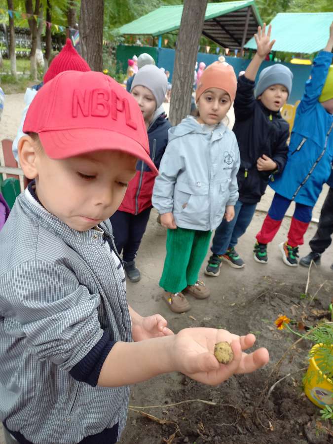 Сами сажали-сами выкопали!