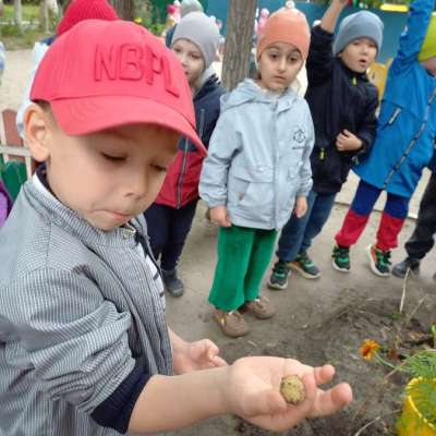 Сами сажали-сами выкопали!