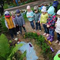 Экологическая тропа на участке детского сада